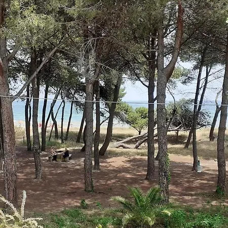 Cerrano 46